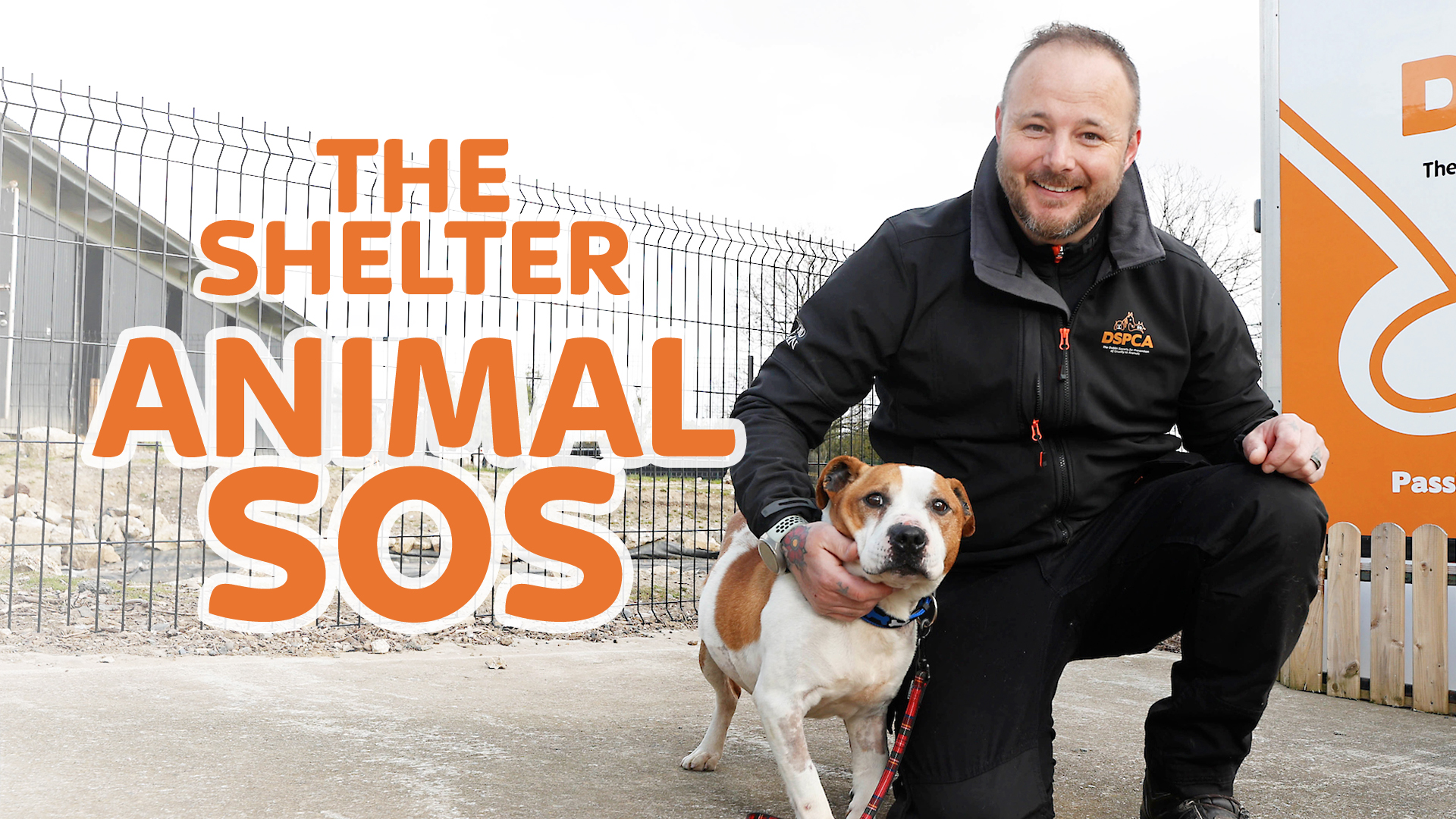 The Shelter: Animal SOS S1