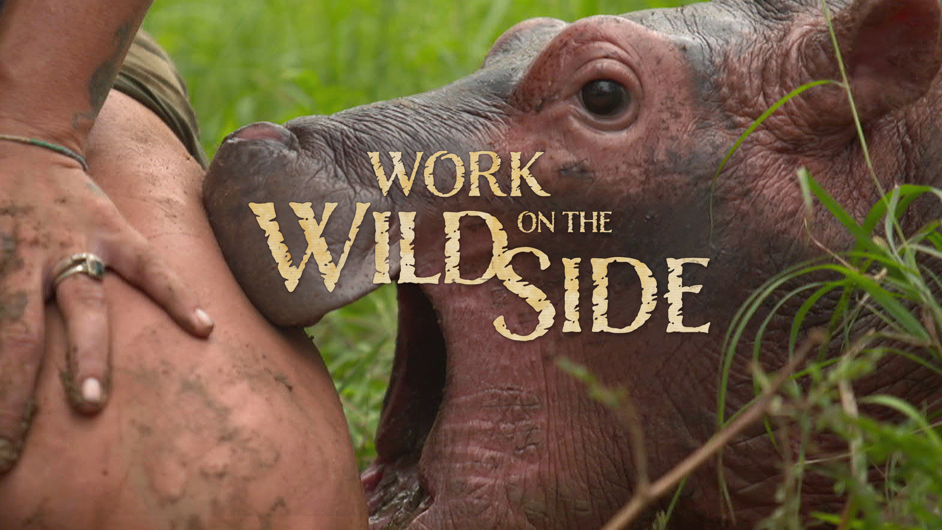 Work on the Wild Side S1
